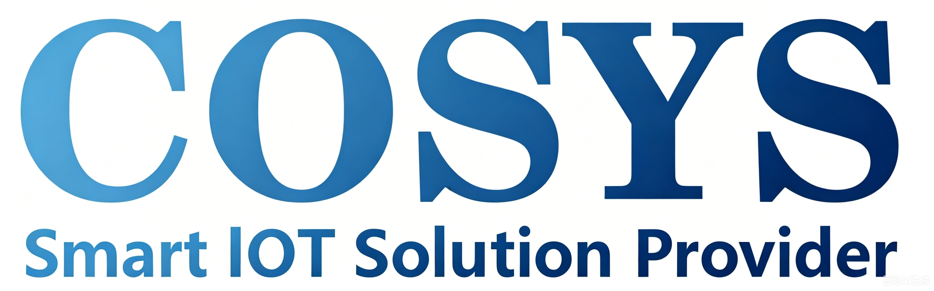 CO-SYS IT Company Limited